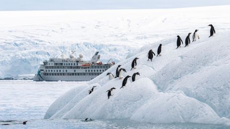 Penguins sitting on a hill with a cruise ship behind
