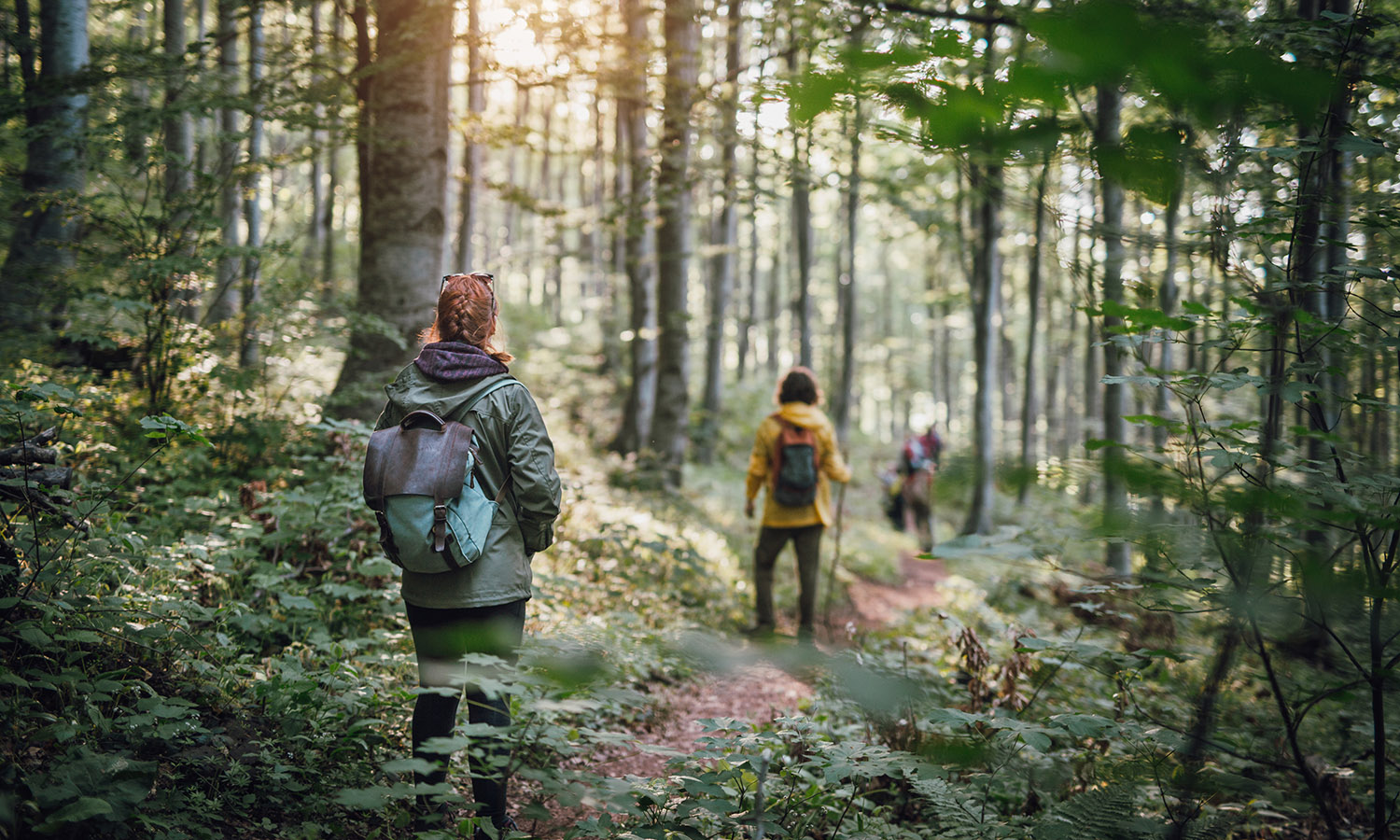 Hiking through a forest