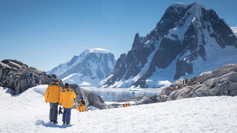 Image credit: Acacia Johnson