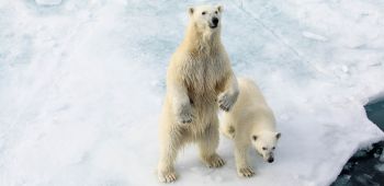 Image credit: Michelle Sole