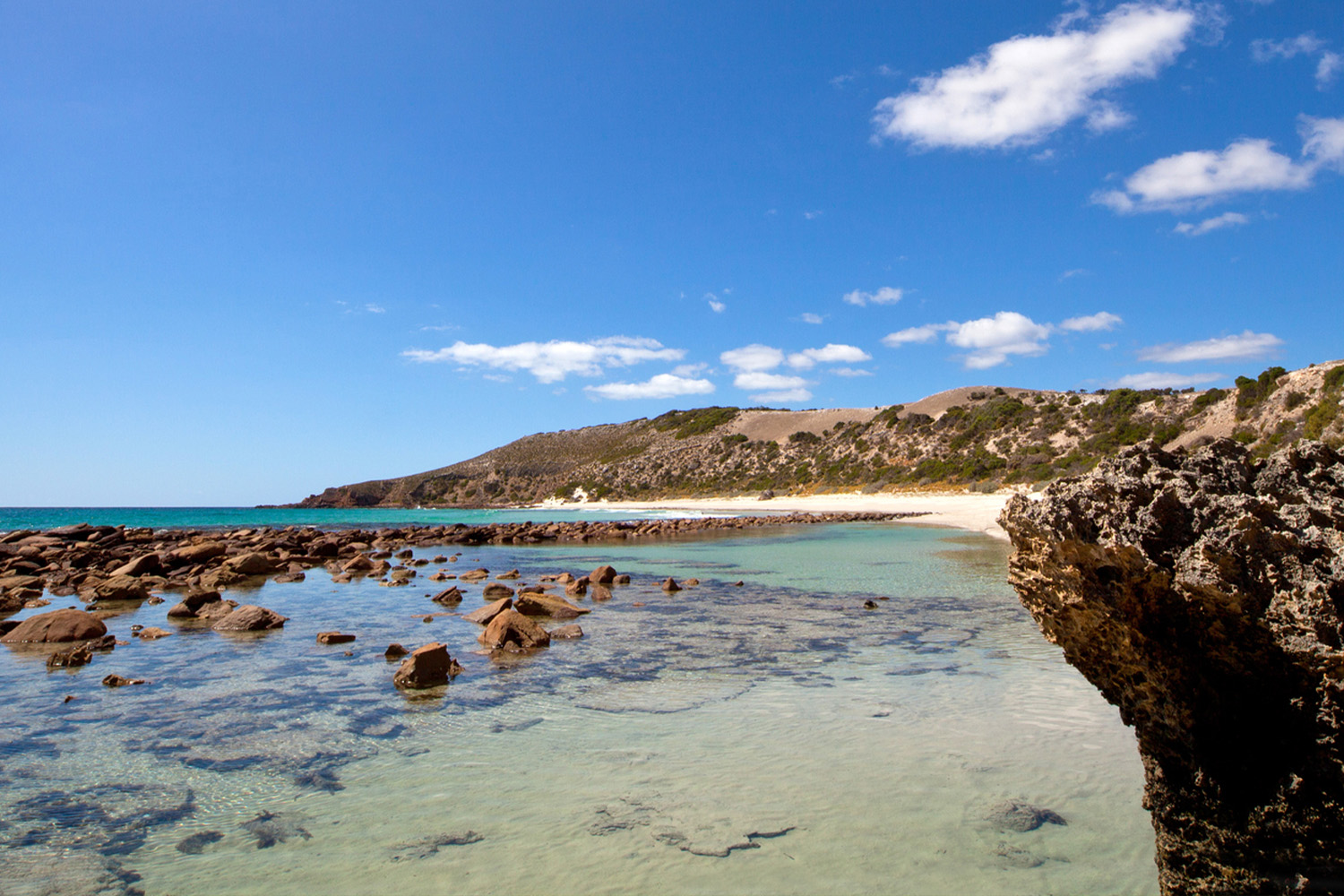 Kangaroo Island – Book your next Kangaroo Island holiday – RAA Travel